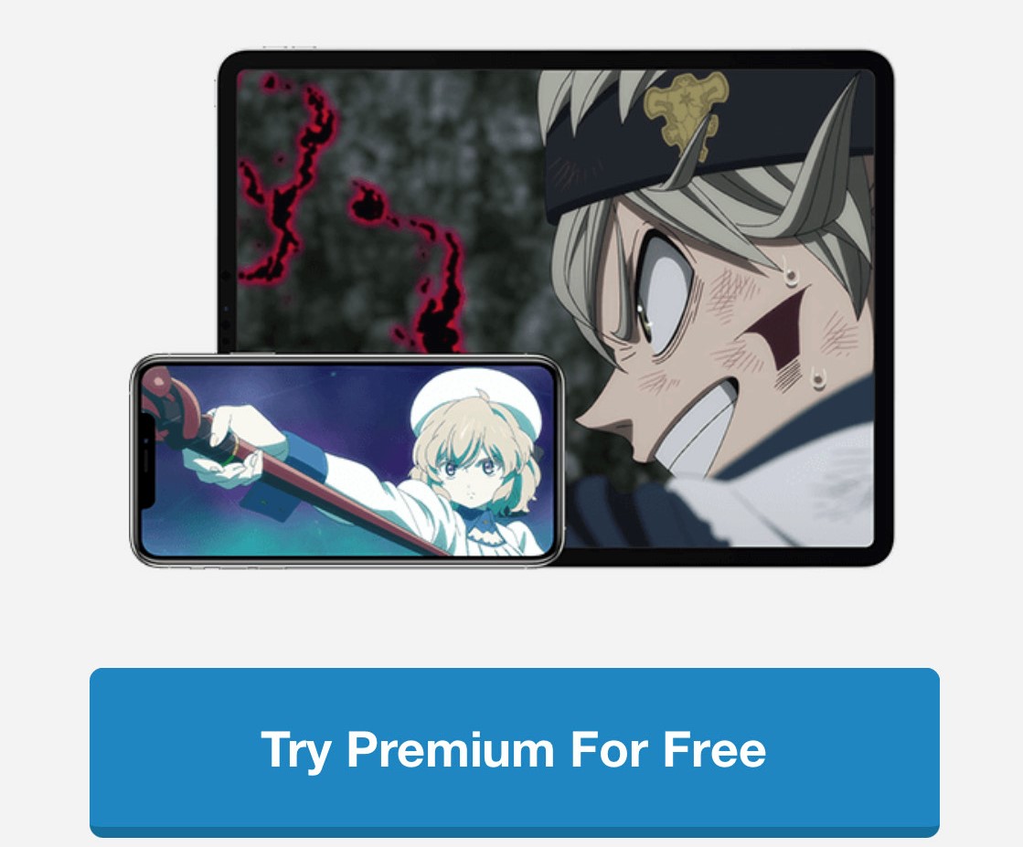 Is Crunchyroll Subscription Worth it? All You Need to Know